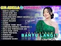 Difarina Indra - Banyu Langit - OM ADELLA FULL ALBUM 2023