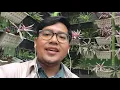 Download Lagu Pandangan Pertama Awal Aku Berjumpa #DekatdiHati