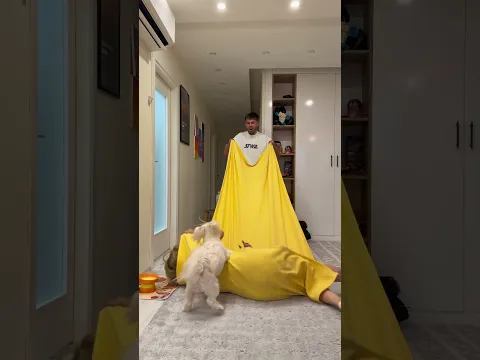 Funny video 😂😁