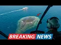 Download Lagu Sonargegevens bevestigen de aanwezigheid van een 60 meter groot zeemonster voor de kust van de Az...