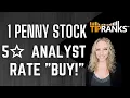 5 Star Analyst Rates This Penny Stock a BUY Big Upside Potential