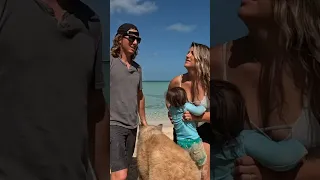 Sailing Sunday is Back on YouTube! #travelvlog