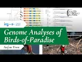 Download Lagu Stefan Prost at #ICG13: Genome analyses of birds-of-paradise