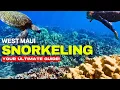 West Maui Snorkeling Guide Top 5 Spots for Beginners Advanced Snorkelers in 2026