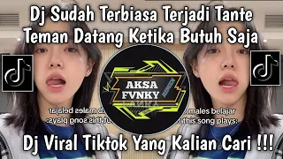 dj sudah terbiasa terjadi tante teman datang ketika butuh saja viral tiktok terbaru 2025