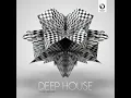 Ringo - Joris Voorn