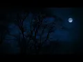 Download Lagu Tree Tops Blowing on a Windy Night Under The Moonlight for Sleep,  Insomnia, Tinnitus
