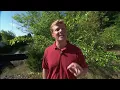 This Old House | Fieldstone, Windows, Teak (S29 E8) FULL EPISODE