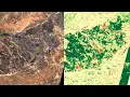 Detecting Wildfire Damage with Python Satellite Data OSM