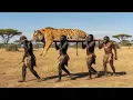 Life Million Years Ago | Humans vs Prehistoric Tigers