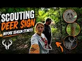 How We Scout for Deer Before Season What We Look For WHY