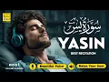 Download Lagu Relaxing Surah Yasin for Sleep, Depression, \u0026 Anxiety ✦ Yaseen سورة يس ✦ Majestic Quran ✦ Alaa Aqel