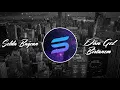 Selda Bağcan - Dön Gel Birtanem Remix [Syquel]