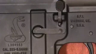Ban Era Bushmaster AR-15