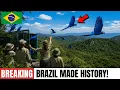 Brazil Brought Back 20 Spix s Macaws From Extinction - WHAT IS HAPPENING