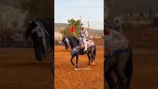 ماشاء الله من مهرجان حب الملوك صفرو 