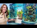 Tank By Tank Tour of LegaSea Aquarium