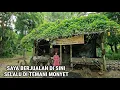 Ngeri !! Kisah Nyata Mbak ida Nekat Buka Warung Ditengah Hutan Setiap Hari Ditemani Monyet Liar