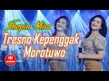 Download Lagu Shepin Misa - Tresno Kepenggak Morotuo (Jandhut Version) [Official Music Video]