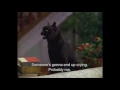 Download Lagu DJ Windows XP - I Wanted To Share My Feelings, But You Kept Talking Bullshit.