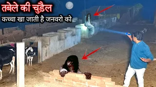 she eats raw alive animal 12 ek raaj