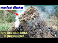 Lagu manfaat kotoran kambing dibakar - trik jitu bikin kohe jd pupuk josss