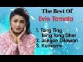 Download Lagu Evie Tamala - Tang Ting Tong Dher - Jangan Dilawan - Kumismu
