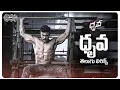 Download Lagu Dhruva Telugu Lyrics | Dhruva Movie | Ram Charan | HipHopTamizha | Maa Paata Mee Nota