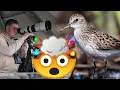 Download Lagu Hoe kon ik het ZO fout hebben?