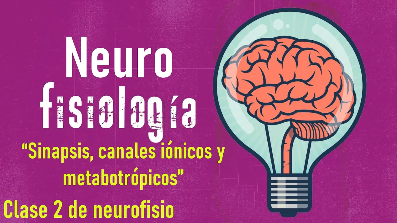 Técnica para aprender de sinapsis neuronal, canales iónicos y metabotrópicos fácil y sencillo