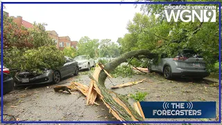Tornadoes derecho wreak havoc across Chicagoland - The Forecasters
