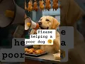 Download Lagu please helping a poor cute dog #music #ai #cat #viral #remix #trandingshorts #viral
