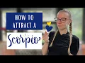 5 tips on HOW TO ATTRACT A SCORPIO
