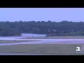 Navy plans to remove about 400 trees near Naval Station Norfolk