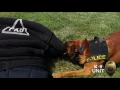 Kingsport Police Department 2017