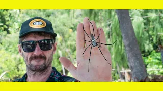 Huge SPIDERS, Hidden lakes & a Q&A.Sailing Indonesia (Learning By Doing Ep 107)