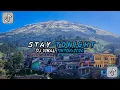 Download Lagu DJ REGGAE STAY TONIGHT By IKA CHANEL Sound 𝙒𝙖𝙣𝙣 𝖋𝖙 𝐒𝐗 || Viral Tiktok 2024