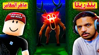 علمت بندريتا احتراف ماب الغابة 