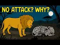 Why Predators Don t Attack Sleeping Prey