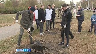 Омичам рассказали, как будет проходить общегородской субботник