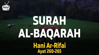 Download Surah 2 : Al Baqarah ( سورة البقرة ) ● Terjemahan ● Syeikh Hani Ar-Rifai ● ayat 260-265 MP3