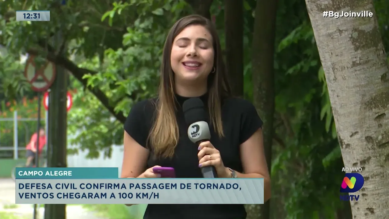 Campo Alegre: Defesa Civil confirma passagem de tornado, ventos chegaram a 100 km/h