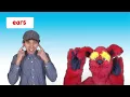Head Shoulders Knees and Toes | Kids Song with Matt | Preschool, Kindergarten, Learn English