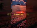 Download Lagu Tere Bina | Song by Zaeden |#music #song #terebina #oldsongs #trending #acoustic #lofisongs #shorts