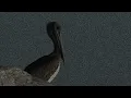 Nilüfer Yanya - Cold Heart (0.666 speed)