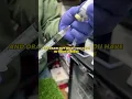 Puppy vaccines from home Watch the full on the YouTube channel