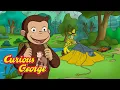George Loves Camping Outside Curious George Kids Cartoon Kids Movies