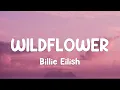 Lagu Billie Eilish - WILDFLOWER (Lyrics)