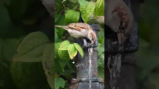 بدونك هذه الحياة فراغ ووحدة من يستحق الحياة 