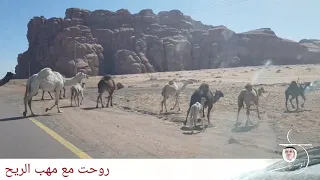 روحت مع مهب الريح دندنها